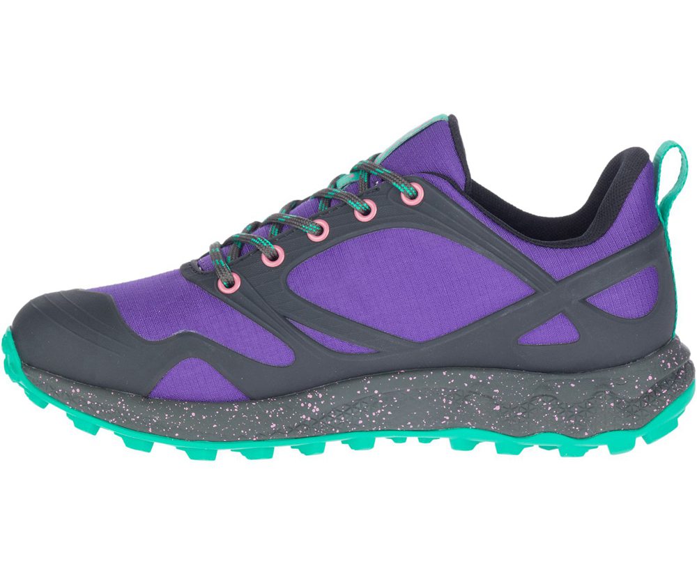Merrell Hiking Shoes Purple/Black - Altalight Waterproof - Womens 07JKWZCVN